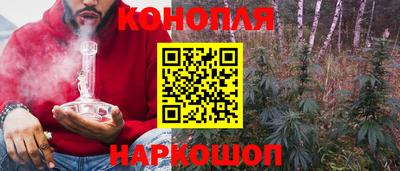 мяу мяу мука Гусев