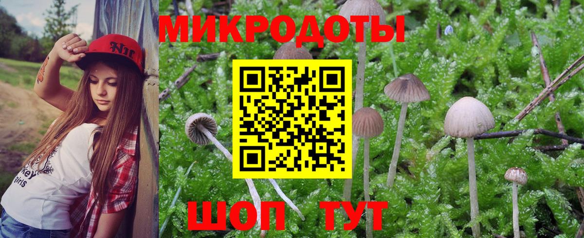 ГАШ  Кокаин  Топки  Меф   Вход с VPN  Канабис 