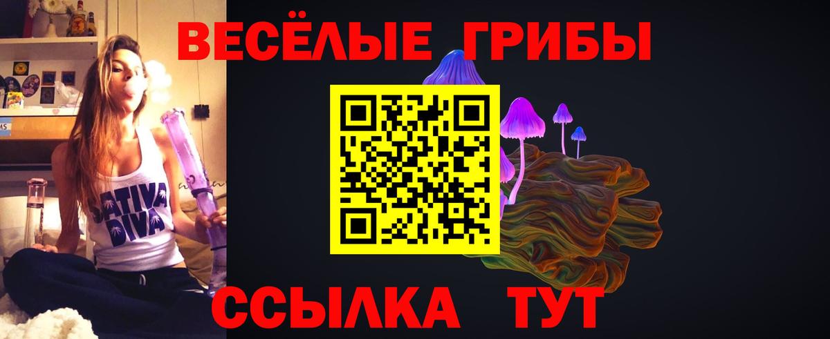 Топки  Псилоцибиновые грибы MAGIC MUSHROOMS  Вход с VPN 